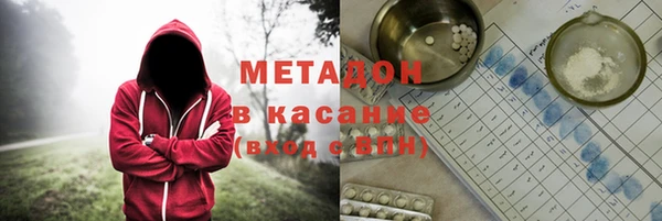 прущие грибы Медногорск